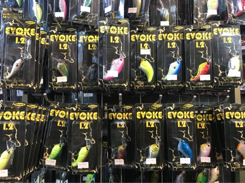 o0480036014362086396