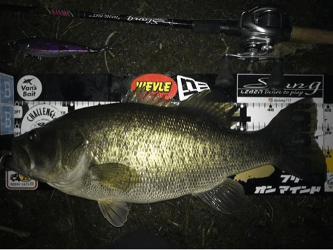 o0480036114357284566