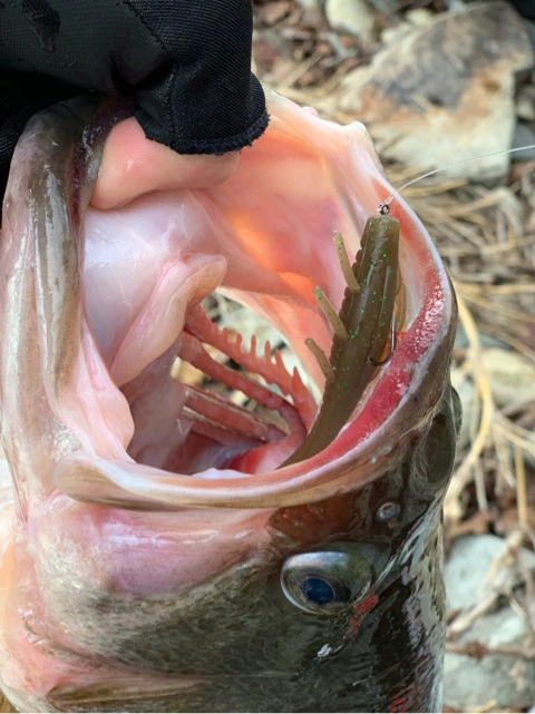 o0480064114356614164