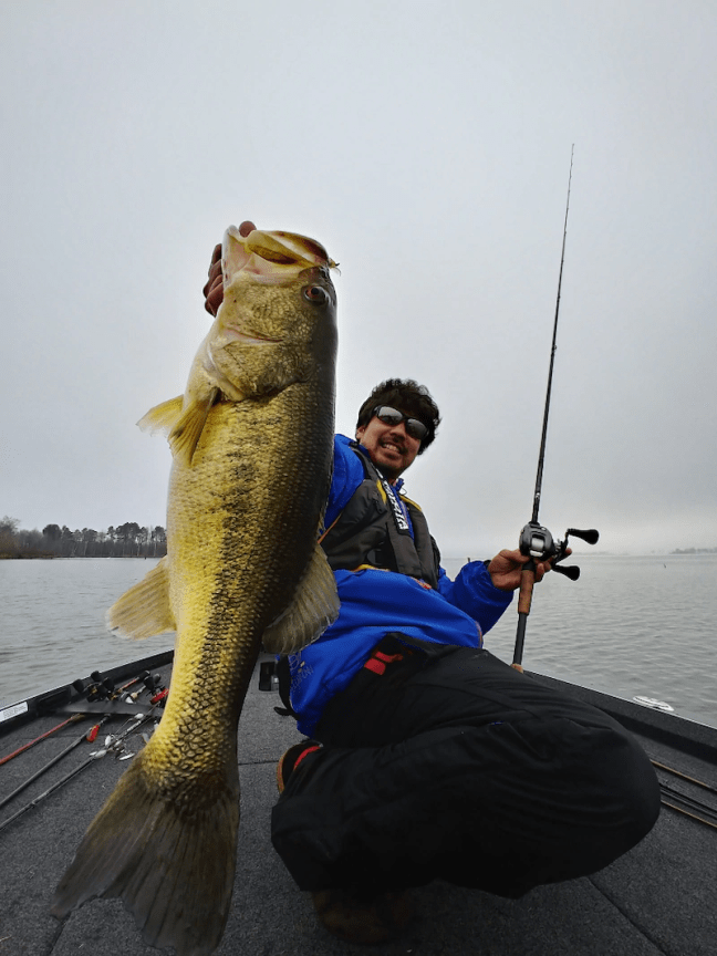 o0810108014350172154