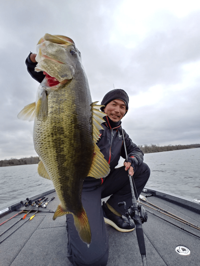 o0810108014350452226