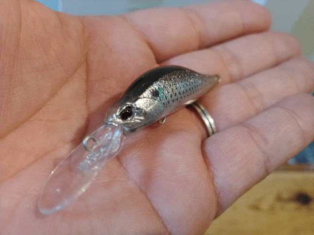 o1080081014360485309