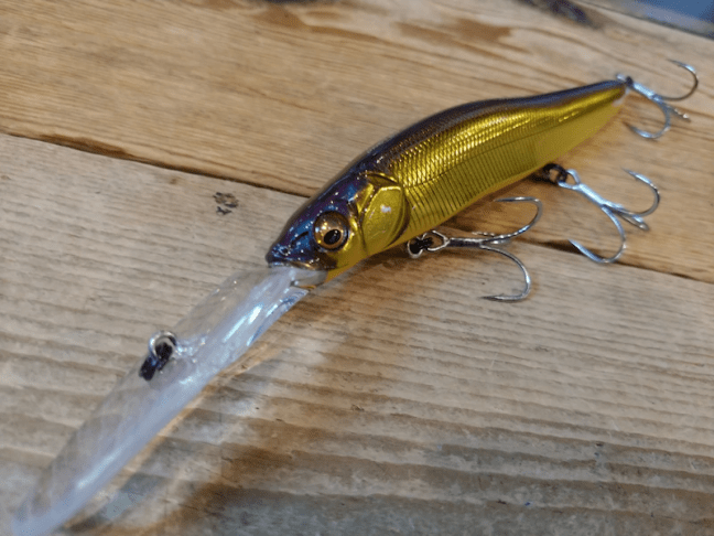 o1080081014360998355