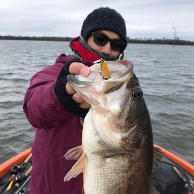 o1080108014353411956