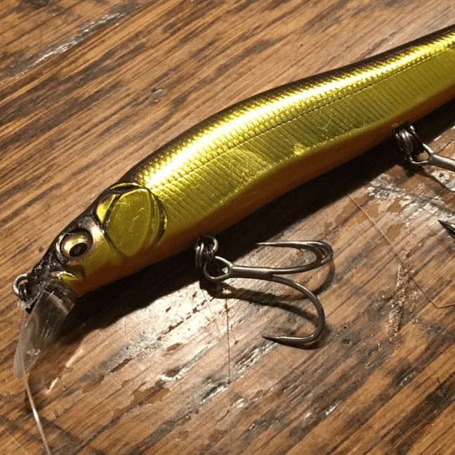 o1080108014353866904