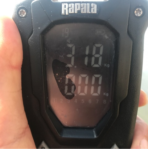 o0480048214375520512