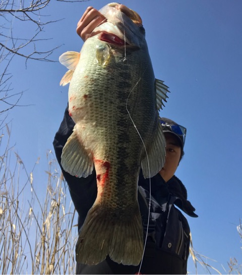 o0480054514375520508