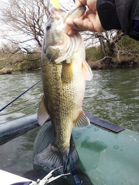 o0480064014376908087