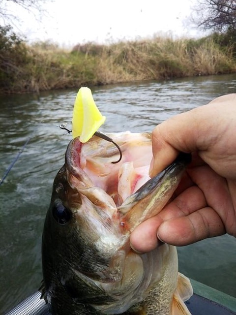 o0480064014376908106