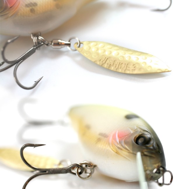 o0700070014371779239