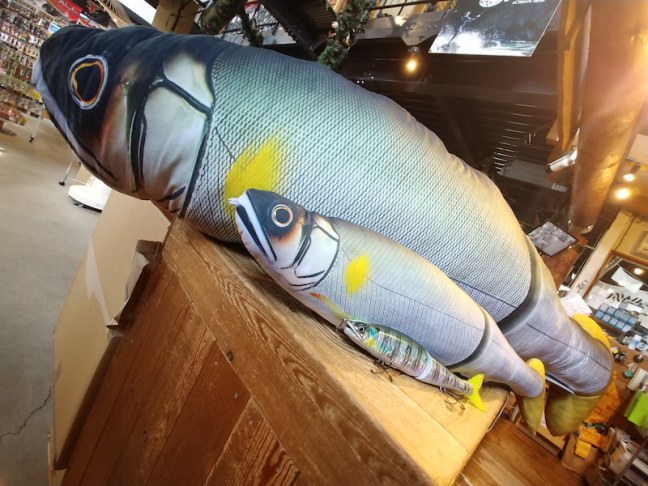 o1080081014373769870