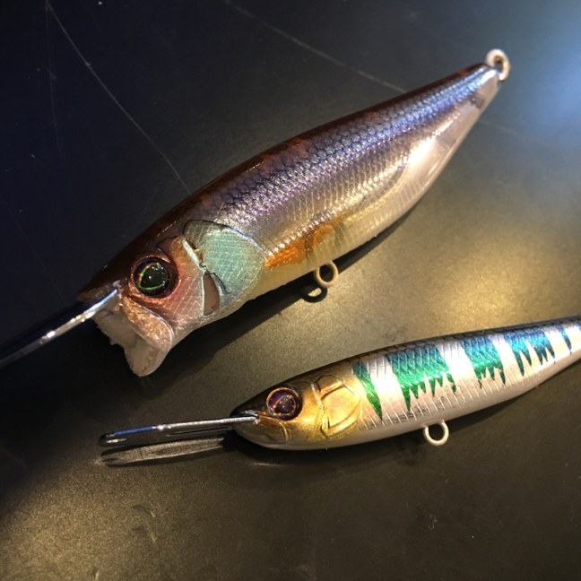 o1080108014379672163