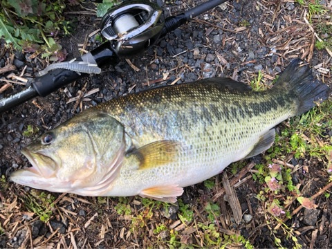 o0480036014387017605