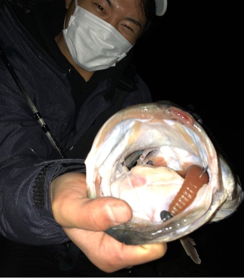 o0480054714396287683