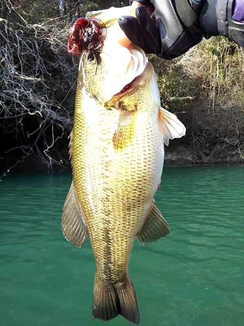 o0480064014387515794