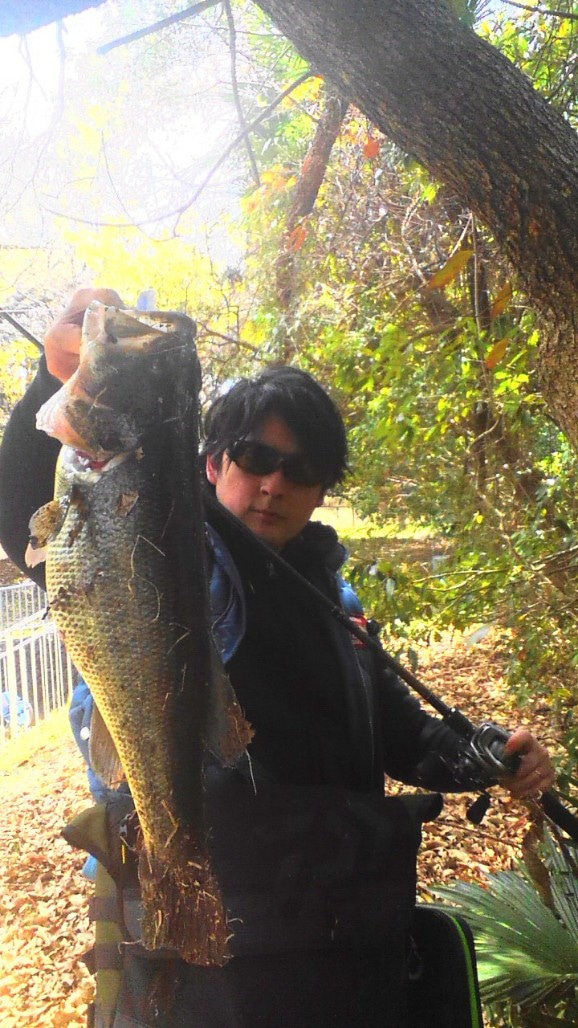 o0578102814385376508