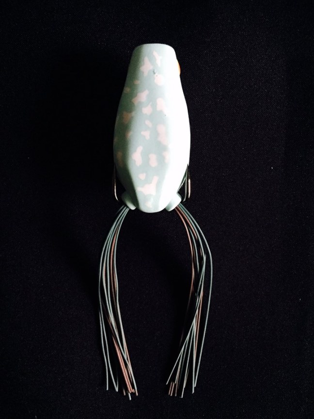 o0720096014388551971