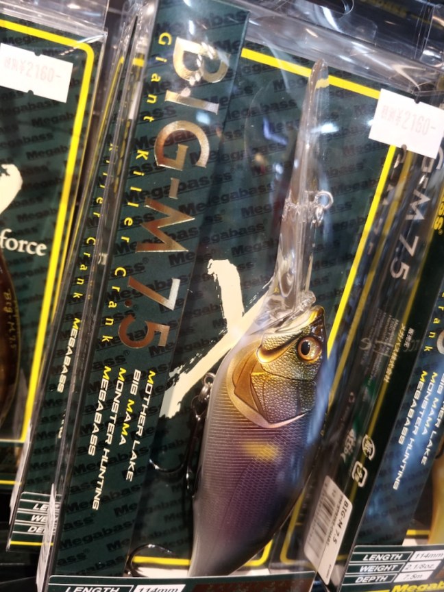 o0810108014397883383