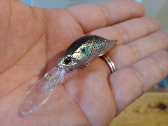 o1080081014360485309 (1).jpg