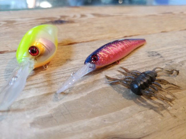 o1080081014392360117