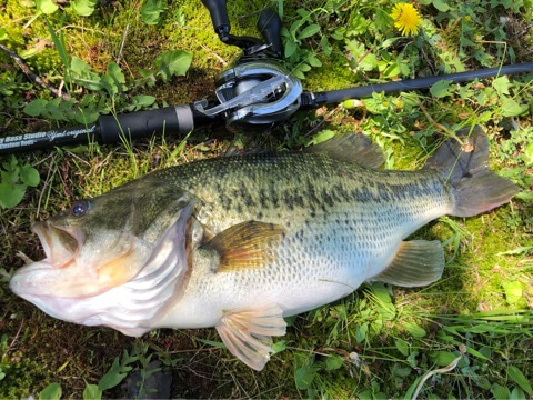 o0480036014407817714