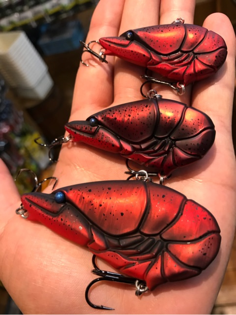 o0480064114456128242