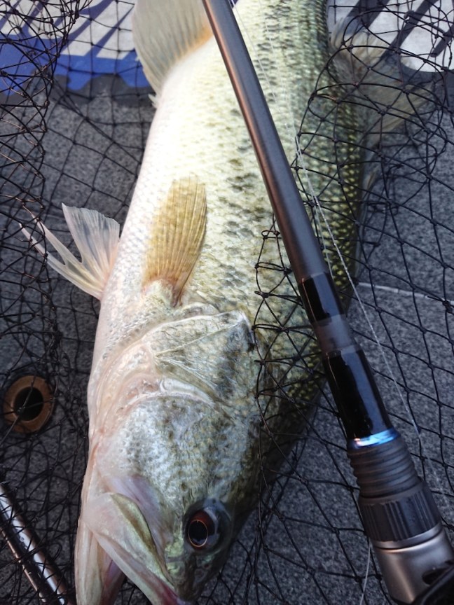 o0800106714426707774