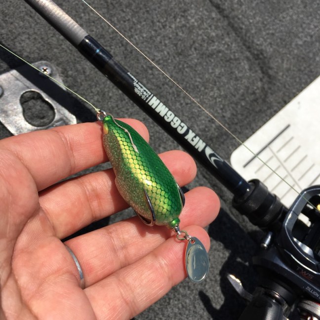 o1080108014446502135