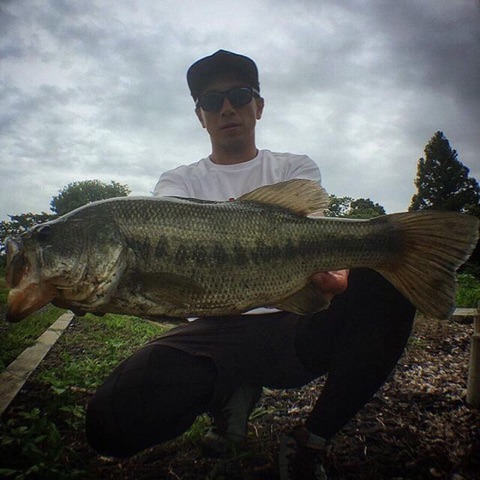 o0480048014504126661