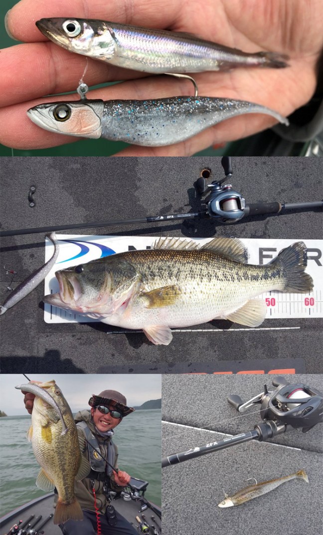 o0700115914544517983