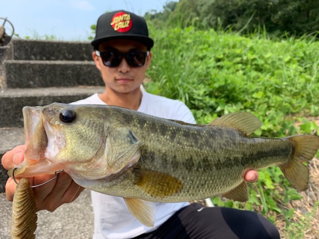 o1080081014544591764