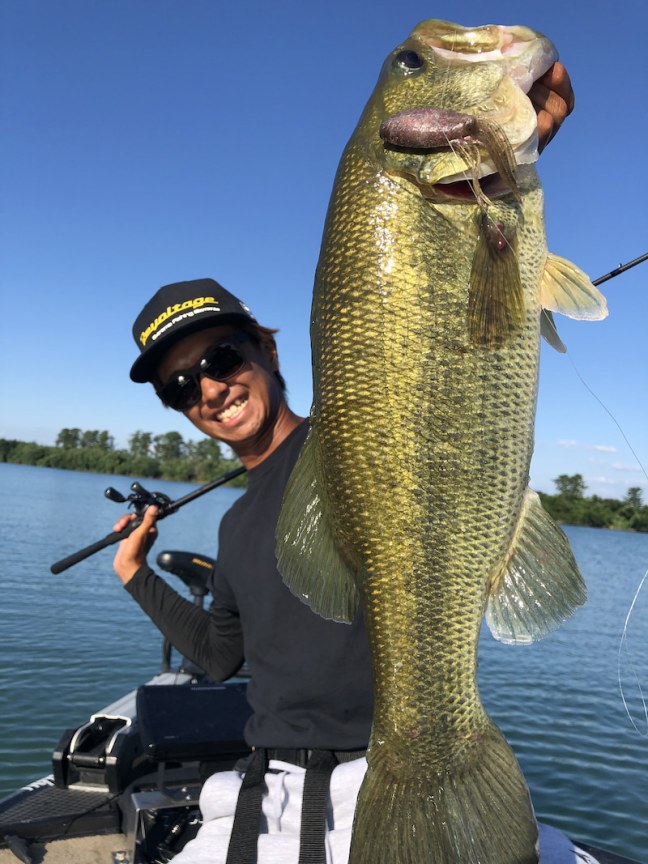 o1536204814560049276