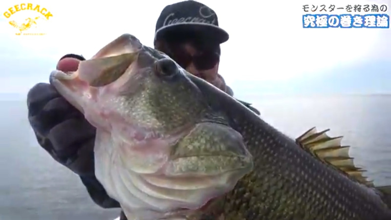 Incredibly successful Alabama rig – Lure&Boat BackLash Japan