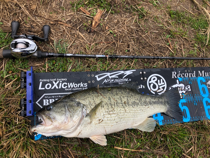 Field report【BackLash Staff / Sakuma】 – Lure&Boat BackLash Japan